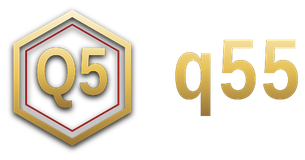 q55 logo